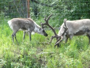 2012 panasonic florida 163