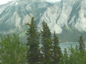 2012 panasonic florida 543