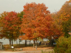 sept 011 neng fall 020