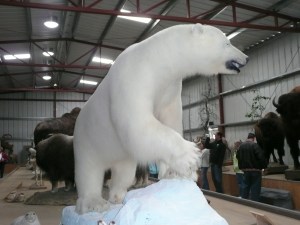 panasonic camera misc 552