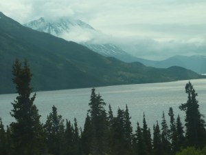 panasonic camera misc 560