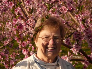 panasonic camera misc 678