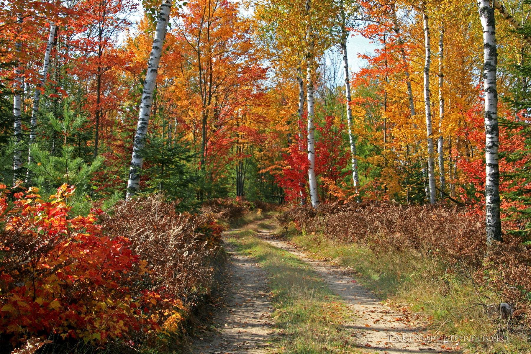 20141025_181549000_iOS