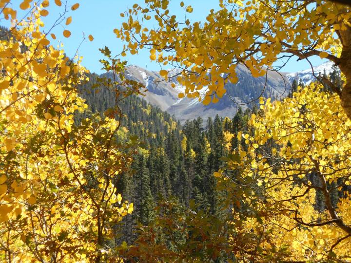 Colorado, my Colorado