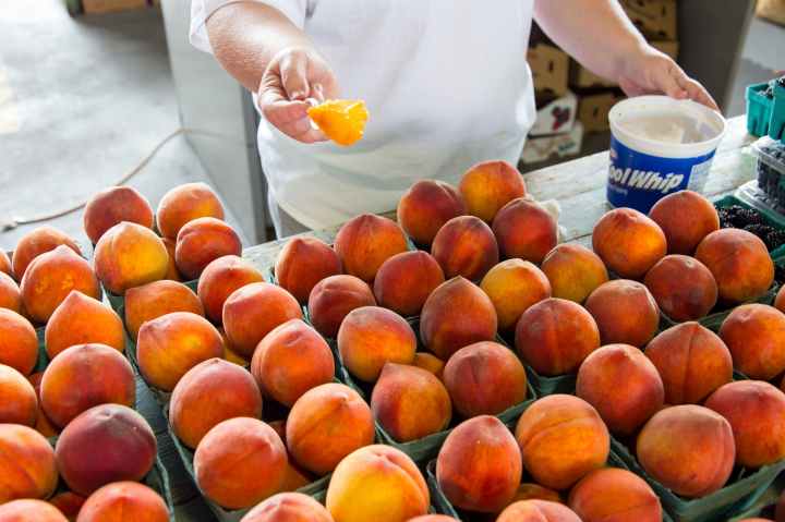 peaches on green trays